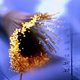 Illustration for article titled The Fiberoptic War Between Stock Traders Who Cash in Data Lag for Dollars